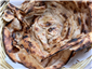 paratha